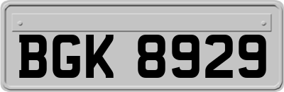 BGK8929