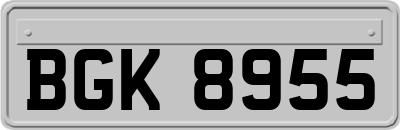 BGK8955