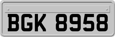 BGK8958