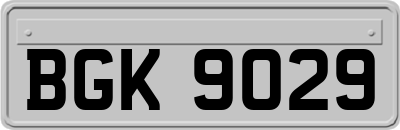 BGK9029