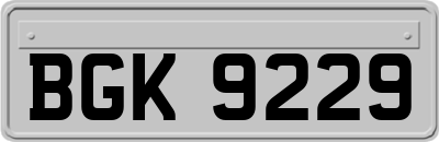 BGK9229