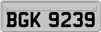BGK9239