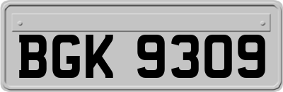BGK9309