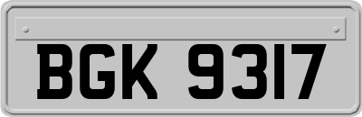 BGK9317
