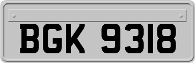 BGK9318