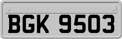BGK9503