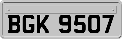 BGK9507