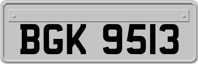 BGK9513