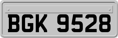 BGK9528