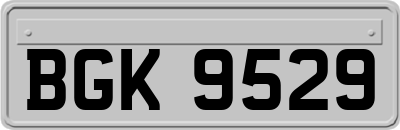 BGK9529