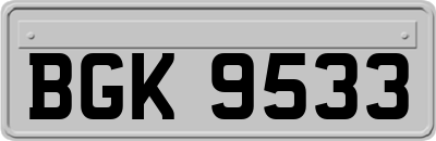 BGK9533