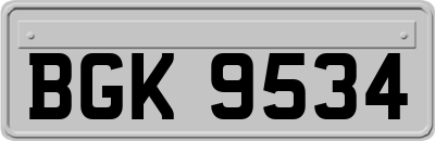 BGK9534