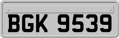 BGK9539