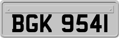 BGK9541