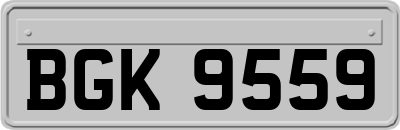 BGK9559