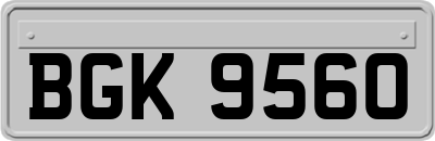 BGK9560