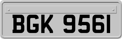 BGK9561