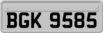 BGK9585