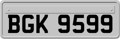 BGK9599