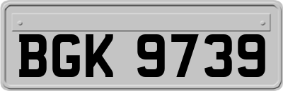 BGK9739