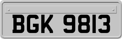 BGK9813