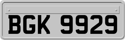 BGK9929