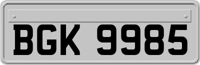 BGK9985
