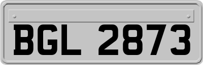 BGL2873