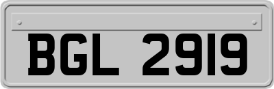 BGL2919