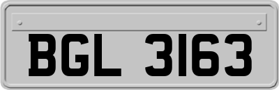 BGL3163