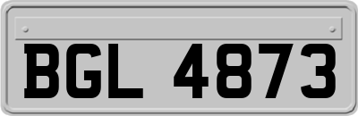 BGL4873