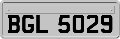 BGL5029