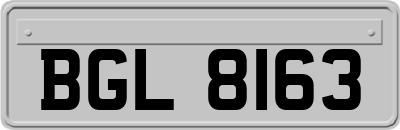 BGL8163