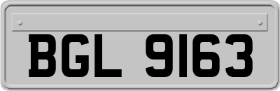 BGL9163