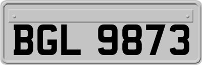 BGL9873