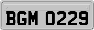 BGM0229