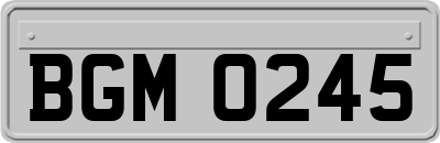 BGM0245