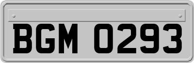 BGM0293