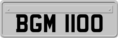 BGM1100