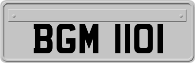 BGM1101