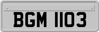 BGM1103