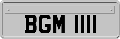 BGM1111