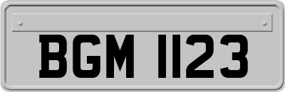 BGM1123