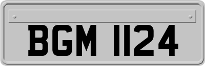 BGM1124