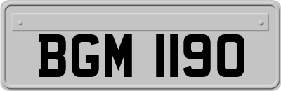 BGM1190