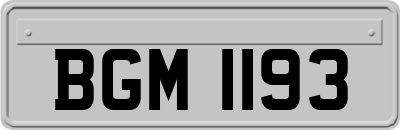BGM1193