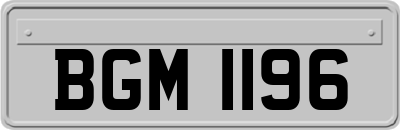 BGM1196