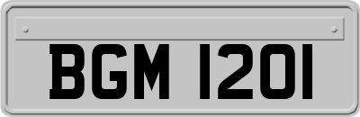 BGM1201