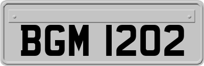 BGM1202