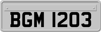 BGM1203